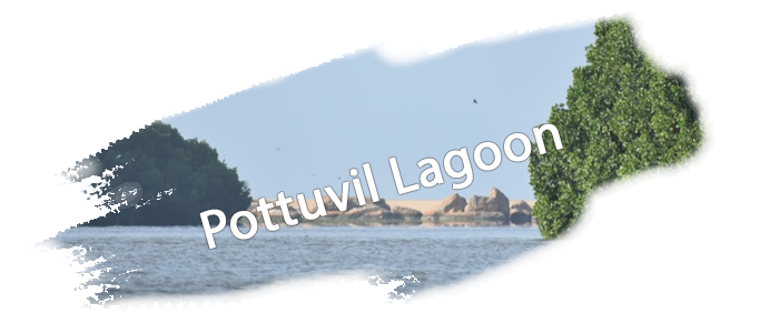 attractions-lagoon